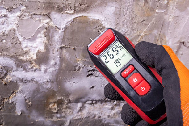 Best Office Mold Removal Services  in Terrace Heights, WA