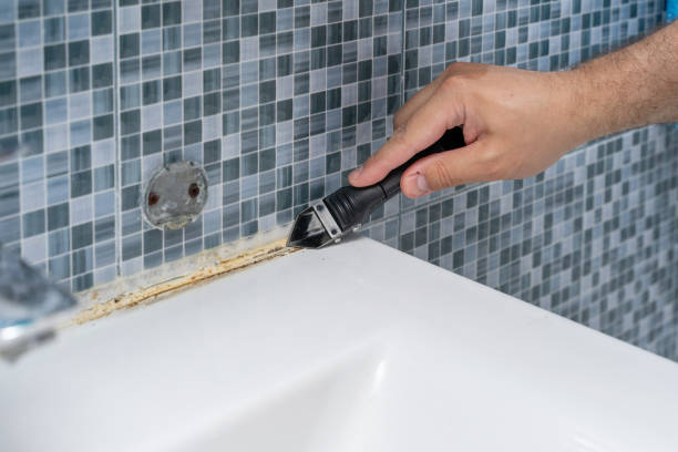 Best Residential Mold Removal  in Terrace Heights, WA
